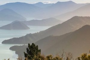 Feedback sought on future of Destination Marlborough 