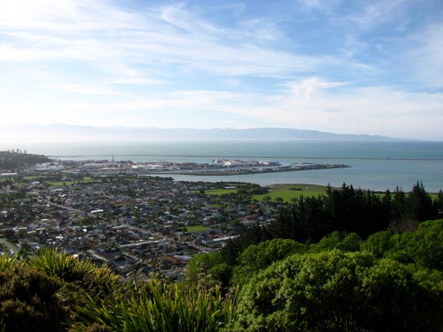 Nelson Tasman business confidence surpasses national average