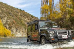 Not just for sale, Nomad Safaris open to investment