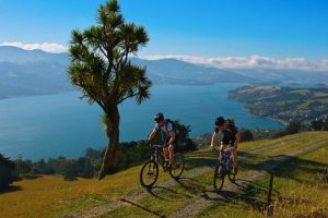 ORC opens consultation on Long-term Plan