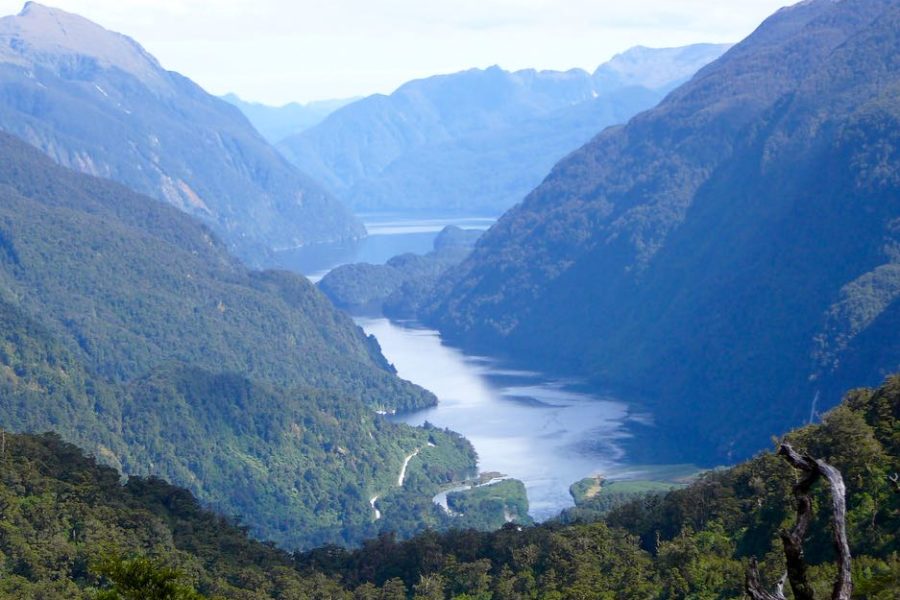 Normal service resumes after $80K evac day for Real Journeys