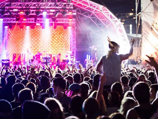 Homegrown delivers nearly $10m boost for Hamilton