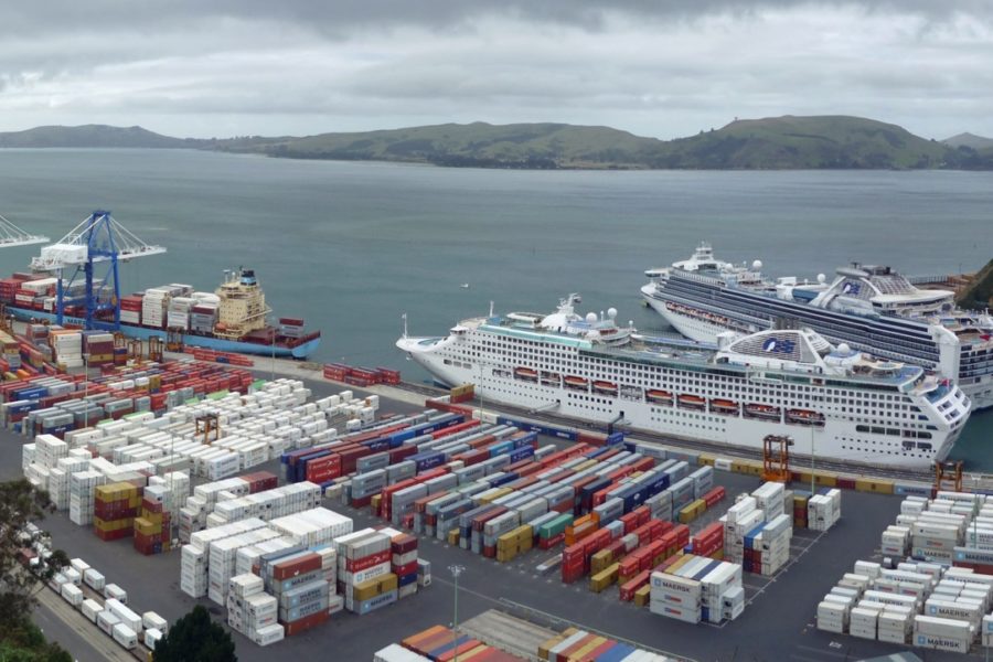 …but cruise drop hits Port Otago profit