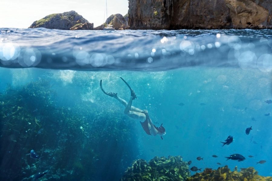 Dive! Tutukaka, Mt Cook Lakeside Retreat make Time’s greatest destinations