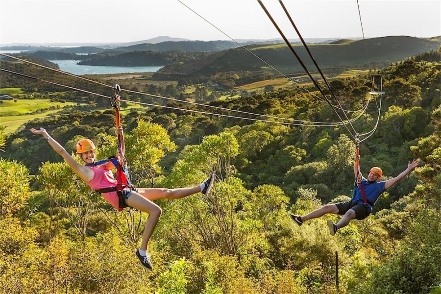 EcoZip Adventures reopens Waiheke ziplines
