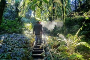 Expedia, Travel Foundation partner to support DMOs on climate