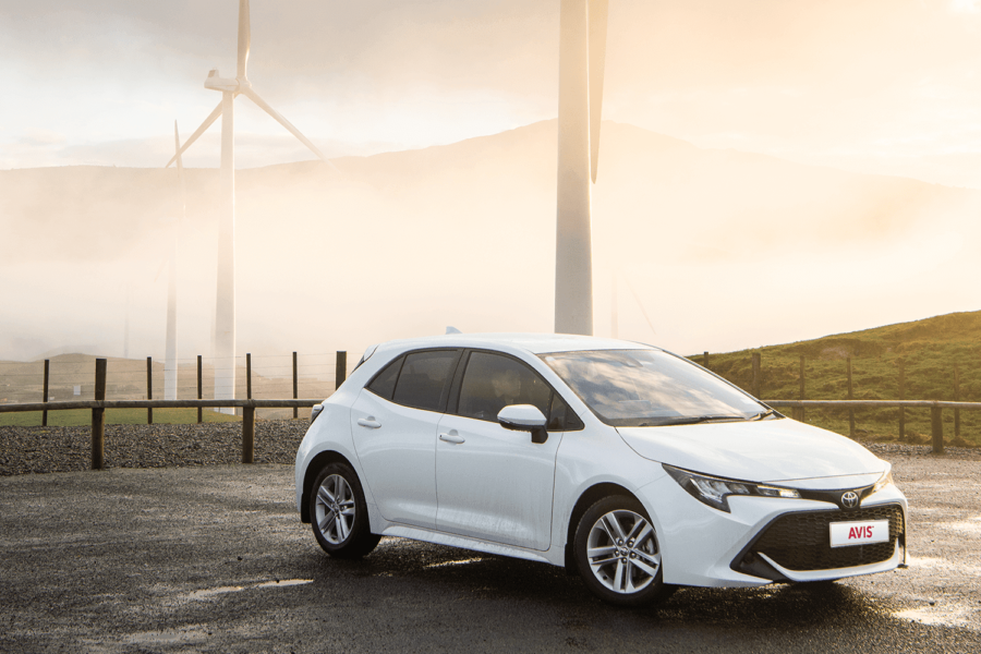 Marketing campaign aims to boost Avis car rentals
