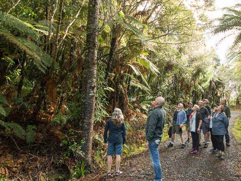 Game on for attractions, tour operators as World Cup comes to town…