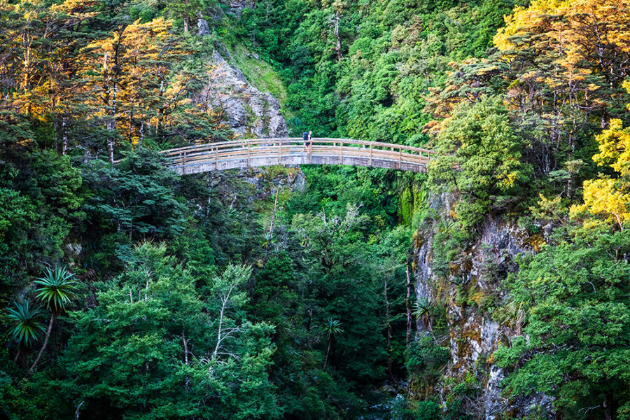 “We’re not a one trick pony” – CEDA’s new boss on Manawatū tourism