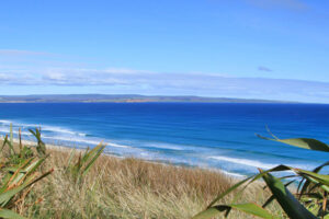 Chatham Islands arrivals drop from 2021 high