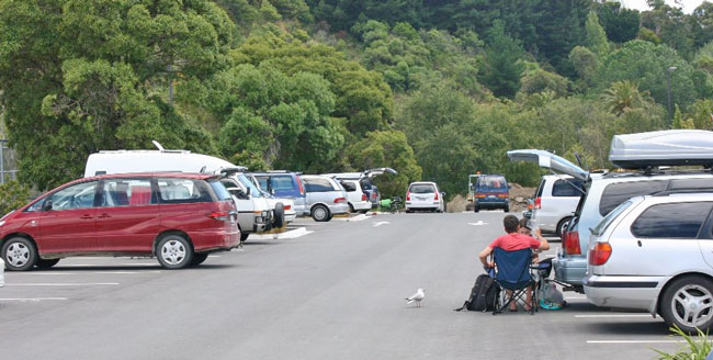 Marlborough to consult further on freedom camping