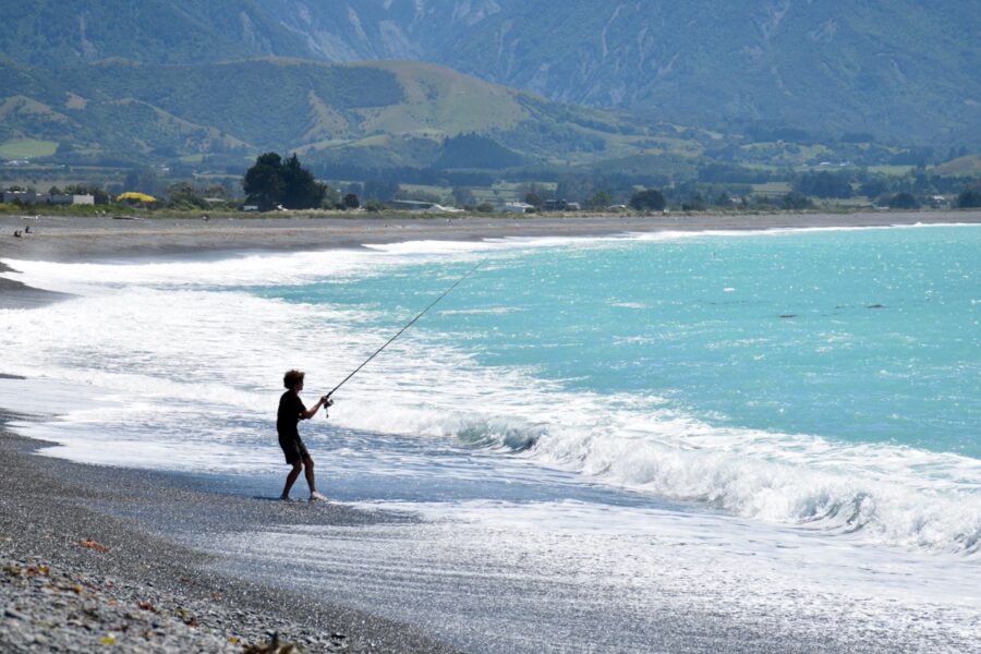 Kaikōura enjoys “game changing” summer, faces DMP challenges