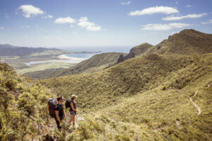 DOC huts on Great Barrier Island revamped