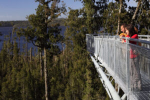 West Coast’s Treetop for sale with $5.8m of assets