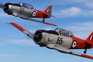 Warbirds Over Wanaka attendance drops