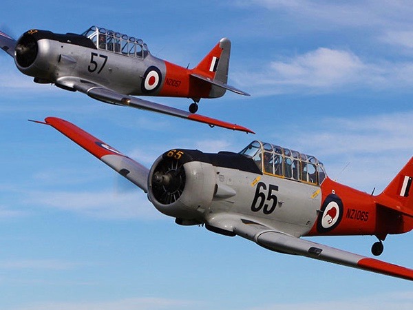 Warbirds Over Wanaka attendance drops