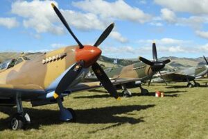 Omaka airshow cancelled due to weather