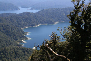 DOC completes sale of holiday park to Tūhoe