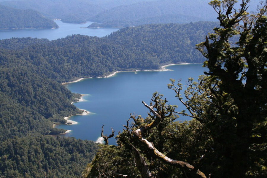 DOC completes sale of holiday park to Tūhoe