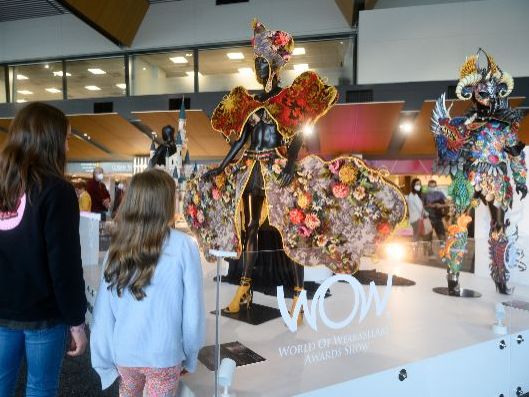 WOW generates $30m for Wellington