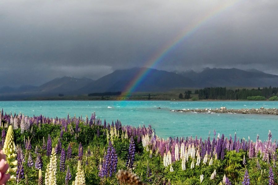 August second-warmest despite deluge, snow – NIWA