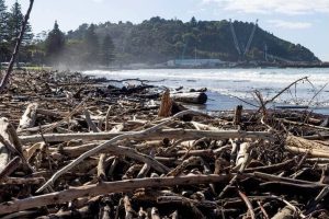 Tourists asked to stay away from Tairāwhiti during state of emergency…