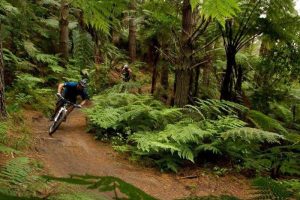 Crankworx delivers economic, social benefits – govt