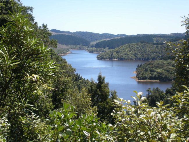Auckland Council approves $15m for regional parks