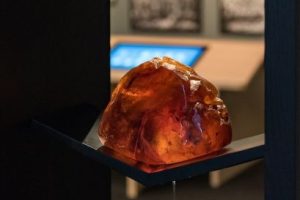 Stolen kauri gum returned to Waitangi Treaty Grounds