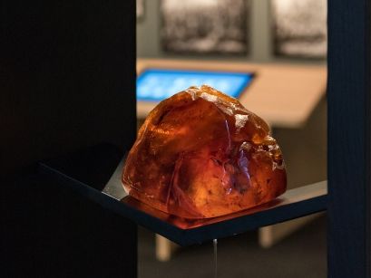 Stolen kauri gum returned to Waitangi Treaty Grounds