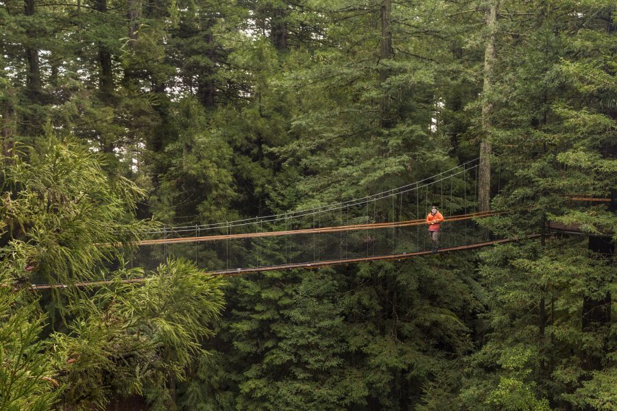 Holiday visitors seek NZ’s scenic landscapes
