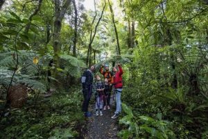 Canopy Tours makes history at Rotorua business awards