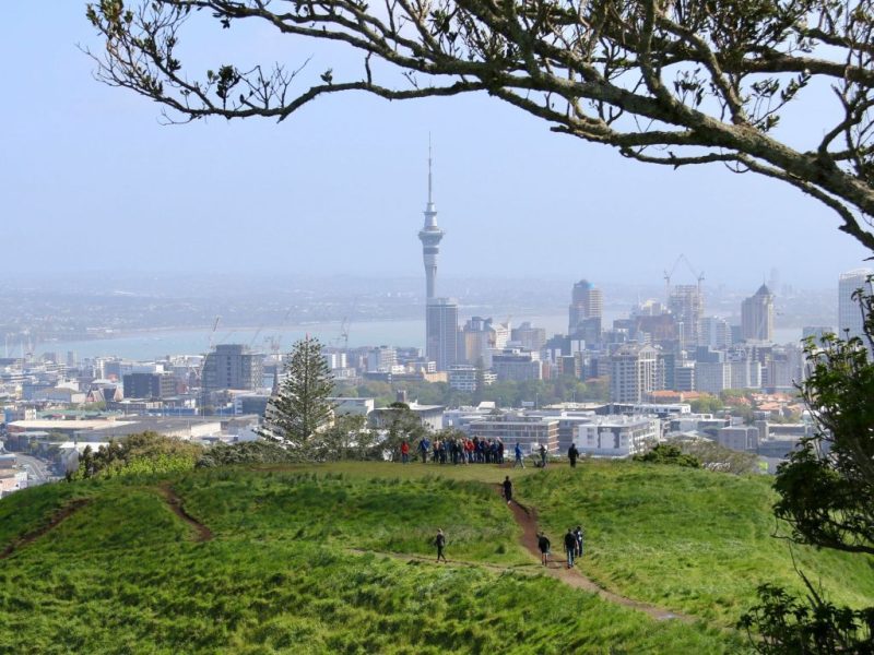 Glimmers of optimism for Auckland businesses – chamber
