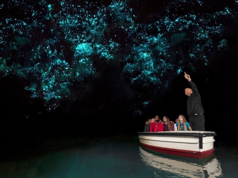 Discover Waitomo applies to continue cave tours