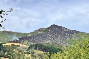 Christchurch Crankworx cancelled