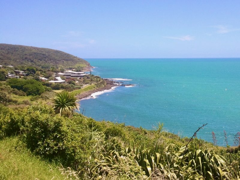 Complaints prompt beaches, reserves survey
