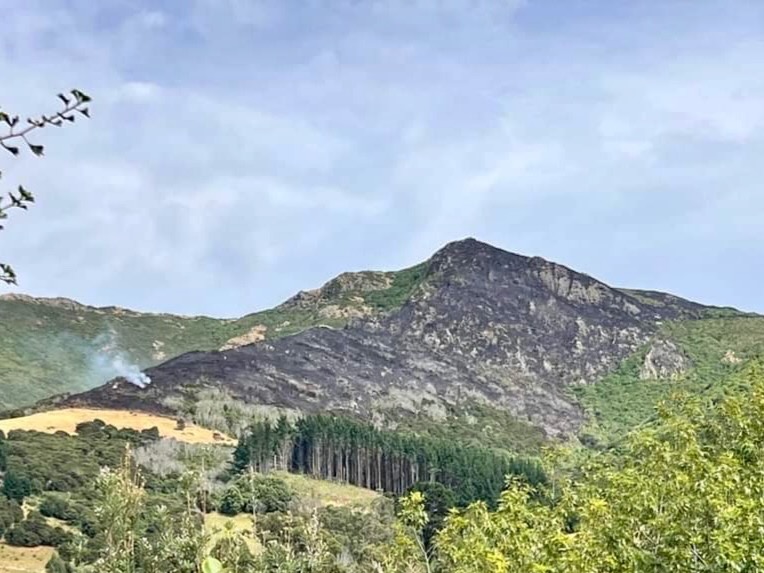 Christchurch Adventure Park reopening on Friday