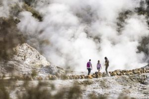Rotorua attraction looks to long-term benefits from influencer relationships