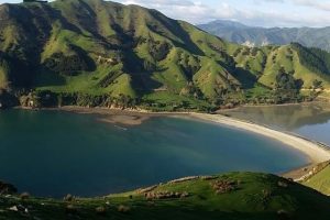 Impacts of cyclones on marine habitats assessed