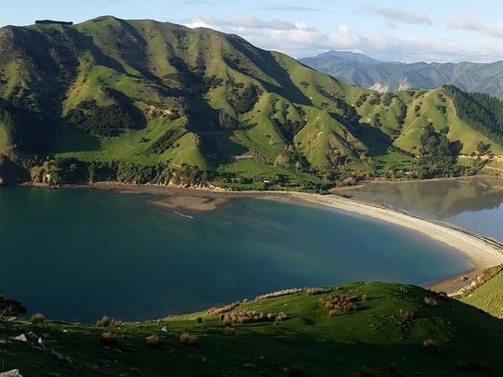 Impacts of cyclones on marine habitats assessed