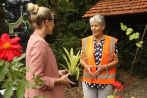 Hamilton Gardens marks 30 years of volunteers