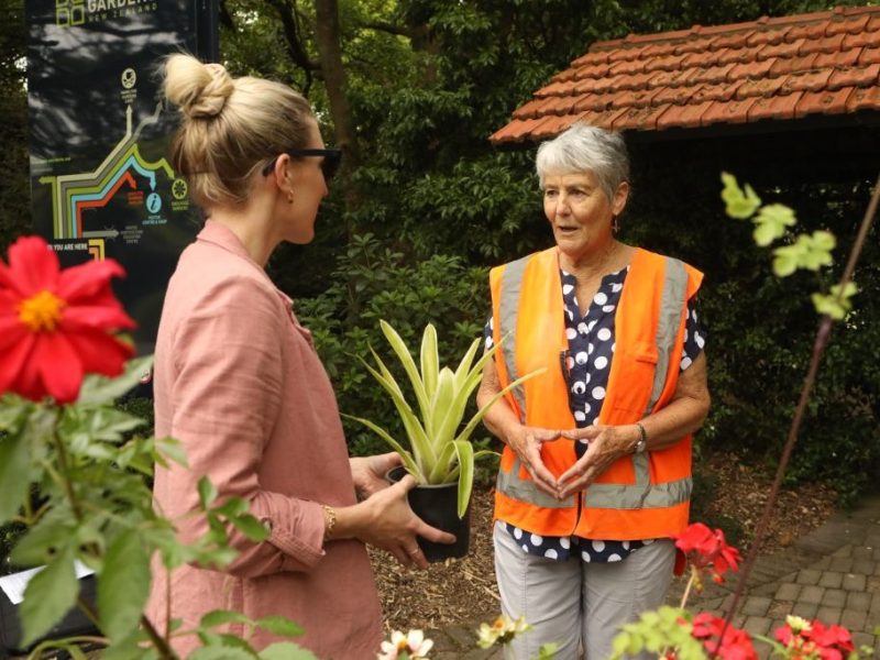 Hamilton Gardens marks 30 years of volunteers