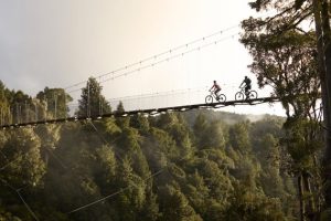 Tourism and hospitality portfolio: where the money is going