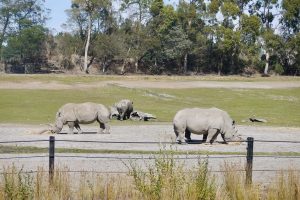 …with MPI report coming as city council fields concerns
