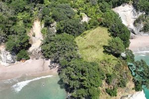 Planning underway for Hahei Beach Walk reroute – DOC