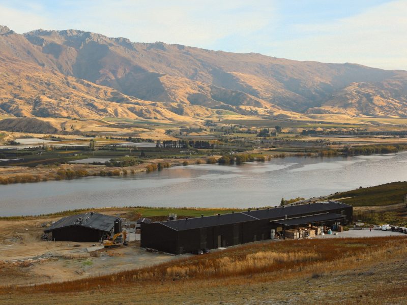Scapegrace to start distillery tours in a year