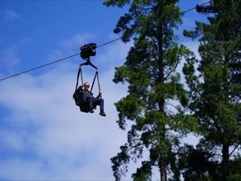 Can Kiwi-made motorised zipline take on the world? CAP leans into new experience