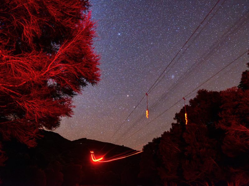 EcoZip Adventures launches ‘world first’ zipline stargazing experience