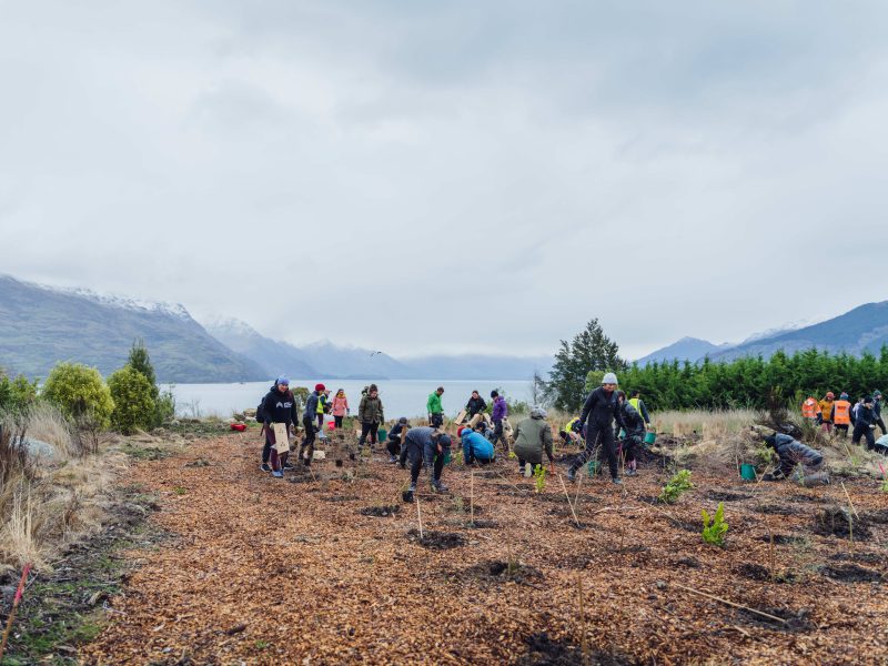 Love Wānaka, Queenstown open record $100k grants