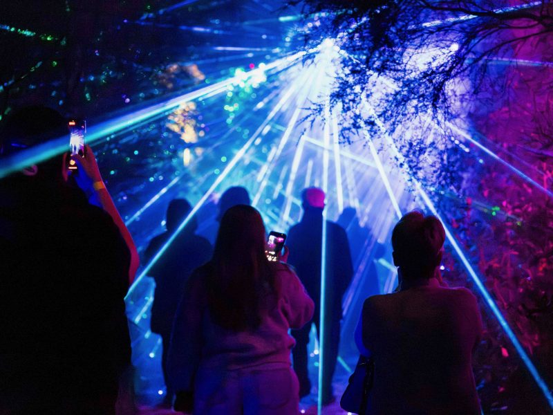 Te Puia launches evening light show trail